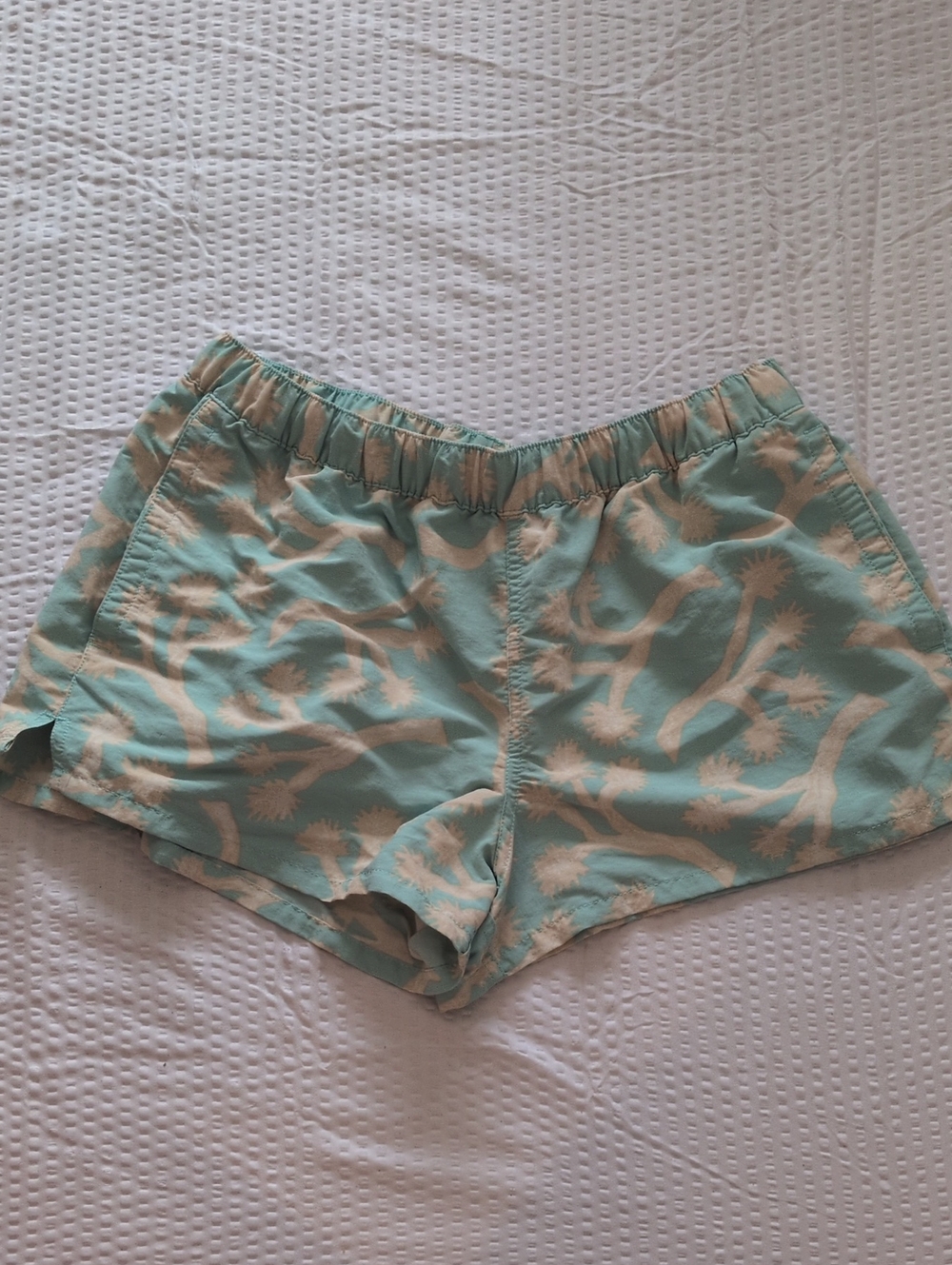 Patagonia Barely Baggies Medium Joshua Tree Print